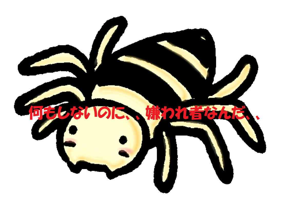 実は知らない 本当の蜘蛛 くも の種類や退治方法 おかしな 害虫駆除 屋 のブログ