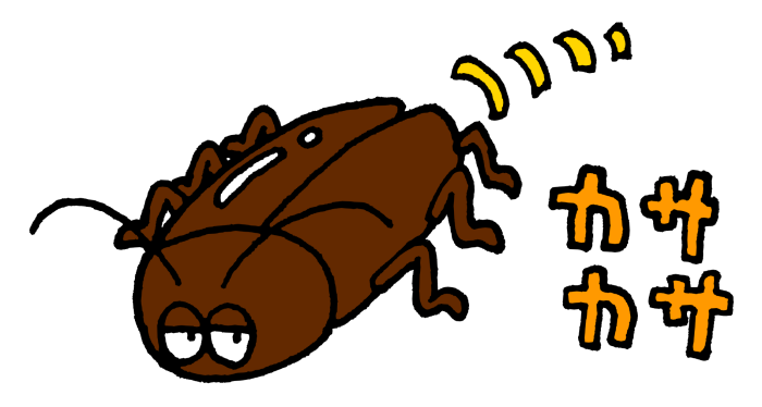 一般家庭のゴキブリ駆除に毒餌をおすすめしないワケ